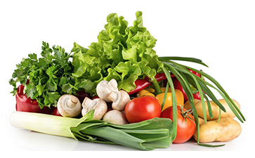 蔬菜溯源系統(tǒng)可以帶來哪些功能特點(diǎn)？