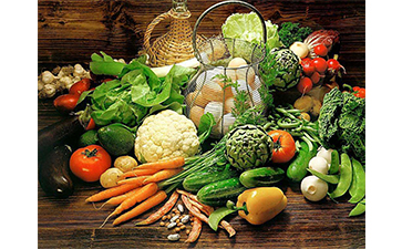 農(nóng)產(chǎn)品追溯系統(tǒng)的管理功能有哪些？